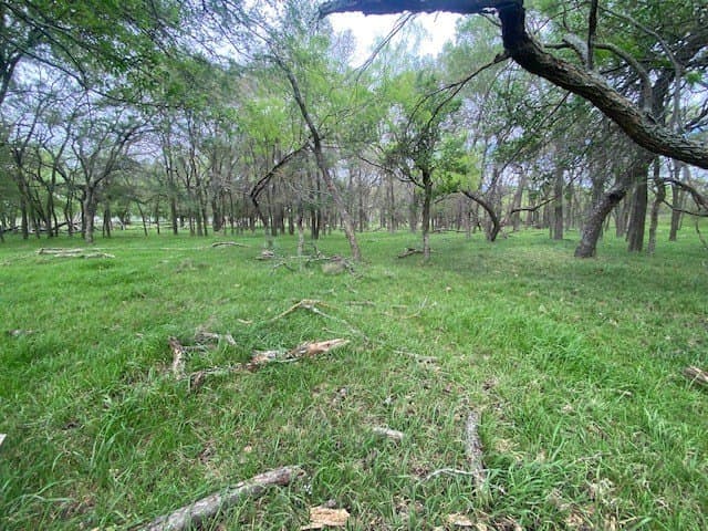 100.23 acres in Falls County - photo 17