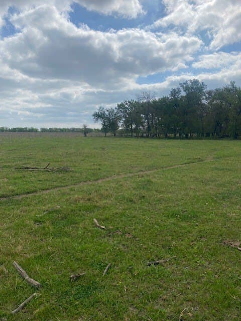 100.23 acres in Falls County - photo 13