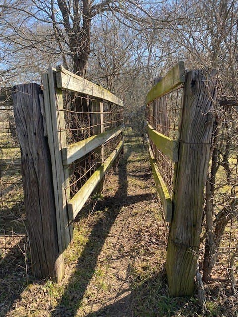 100.23 acres in Falls County - photo 26