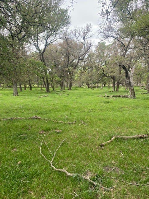 100.23 acres in Falls County