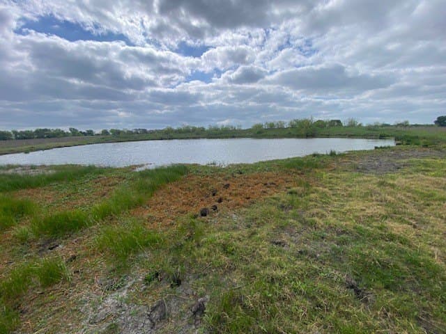 100.23 acres in Falls County - photo 15