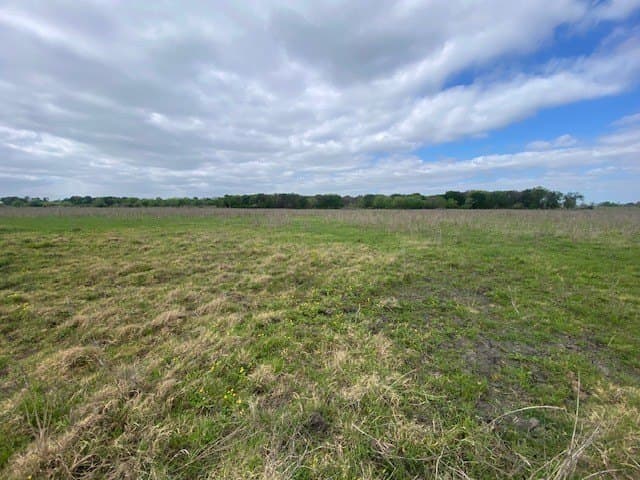 100.23 acres in Falls County - photo 16