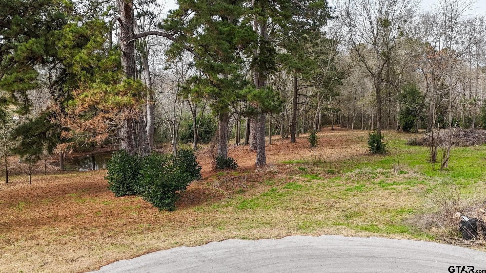 1.69 acres in Henderson County gallery image 4