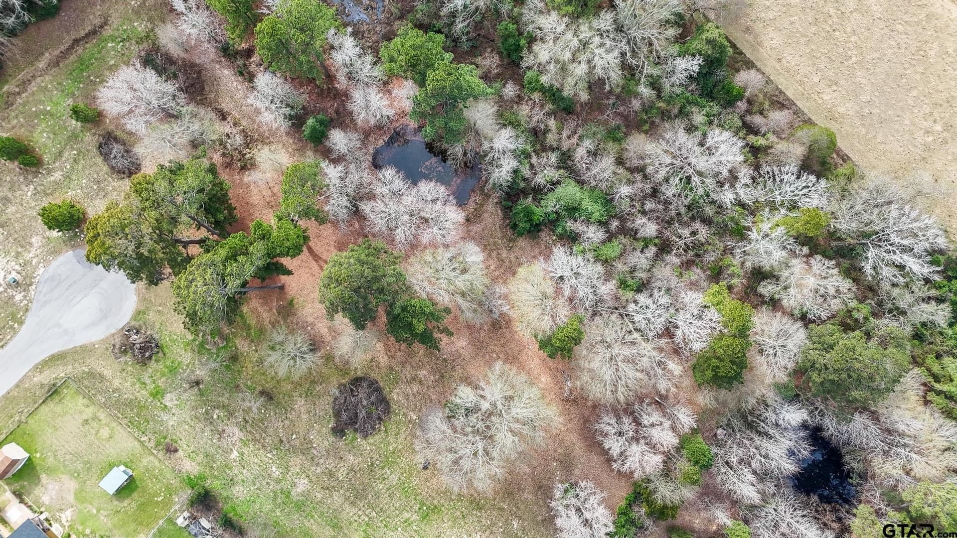 1.69 acres in Henderson County featured view