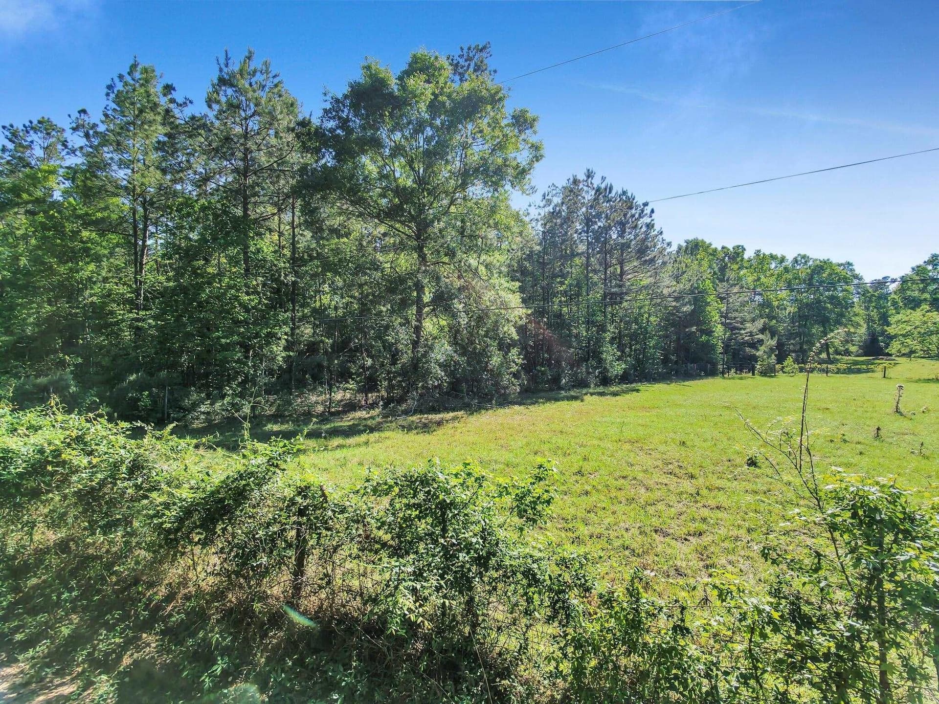 108.54 acres in Texas County - photo 17
