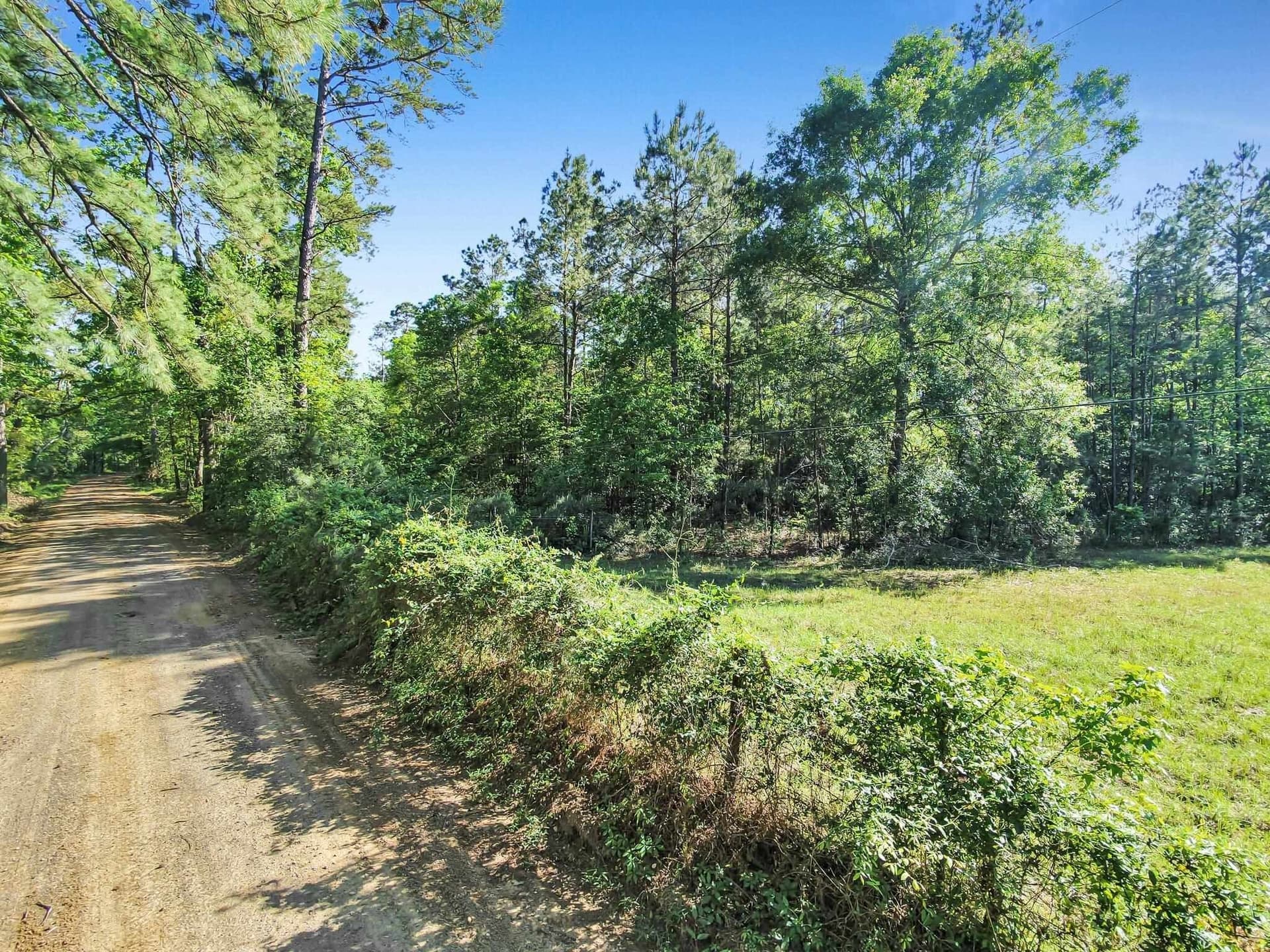 108.54 acres in Texas County - photo 18