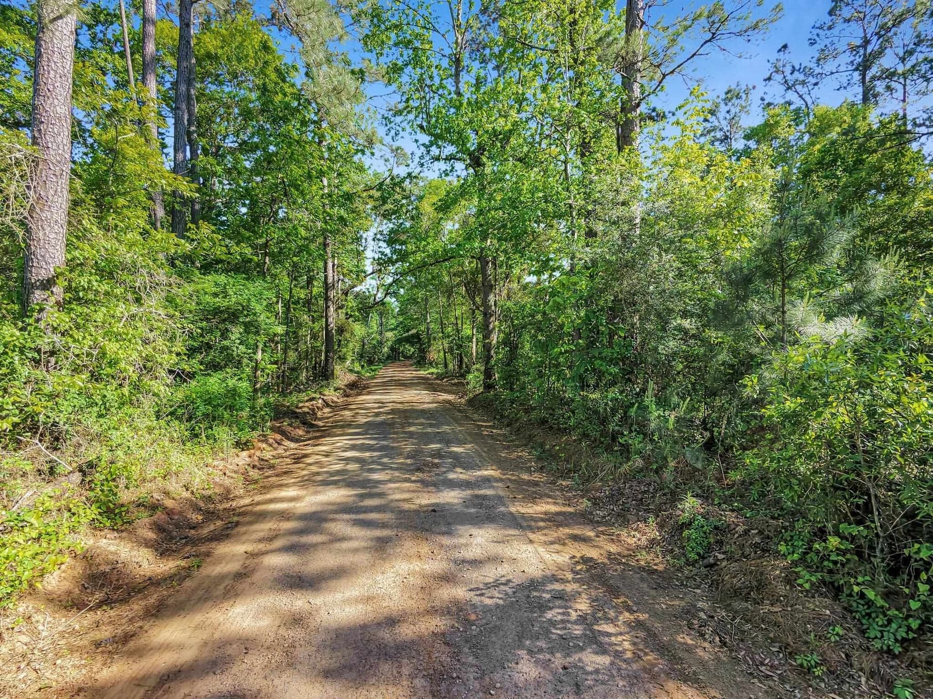 108.54 acres in Texas County - photo 19