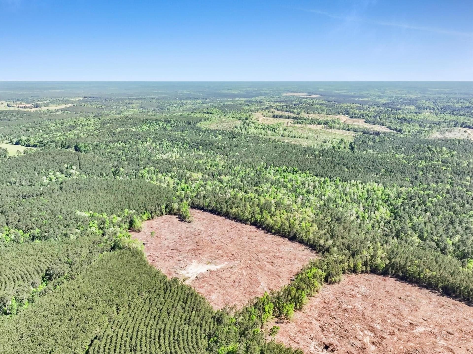 108.54 acres in Texas County - photo 10