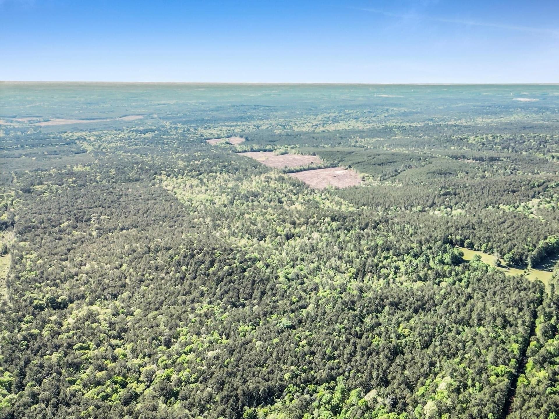 108.54 acres in Texas County - photo 12
