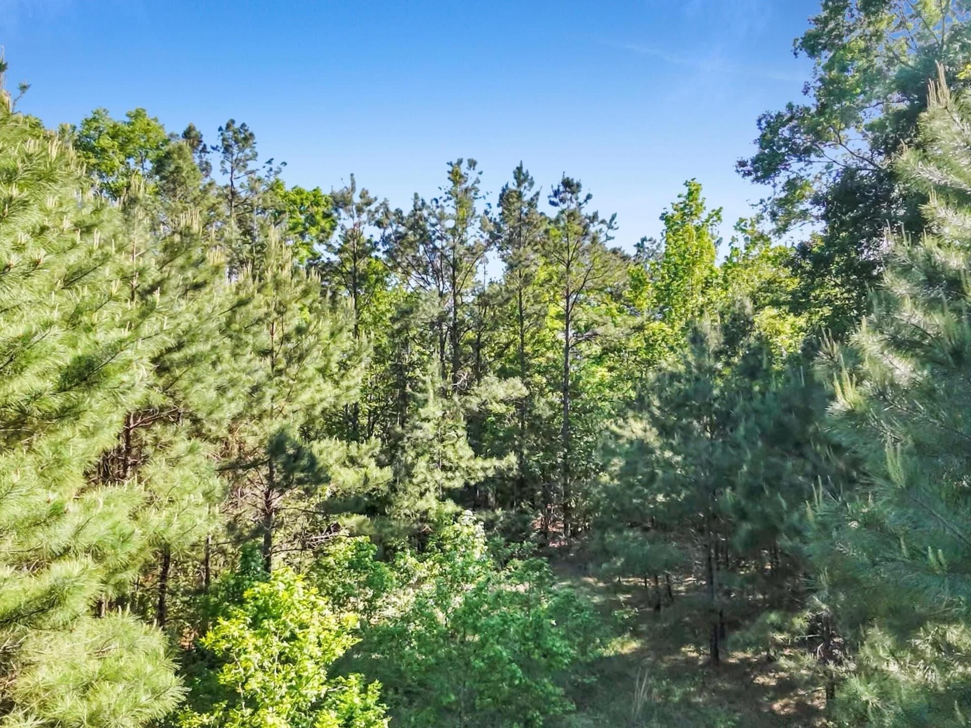 108.54 acres in Texas County - photo 16