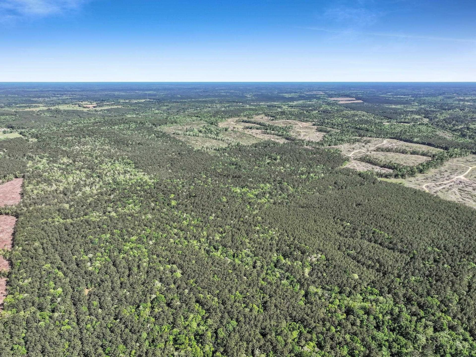 108.54 acres in Texas County gallery image 3