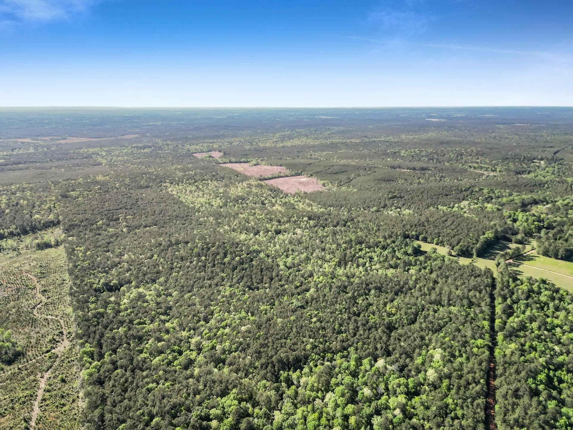 108.54 acres in Texas County - photo 6