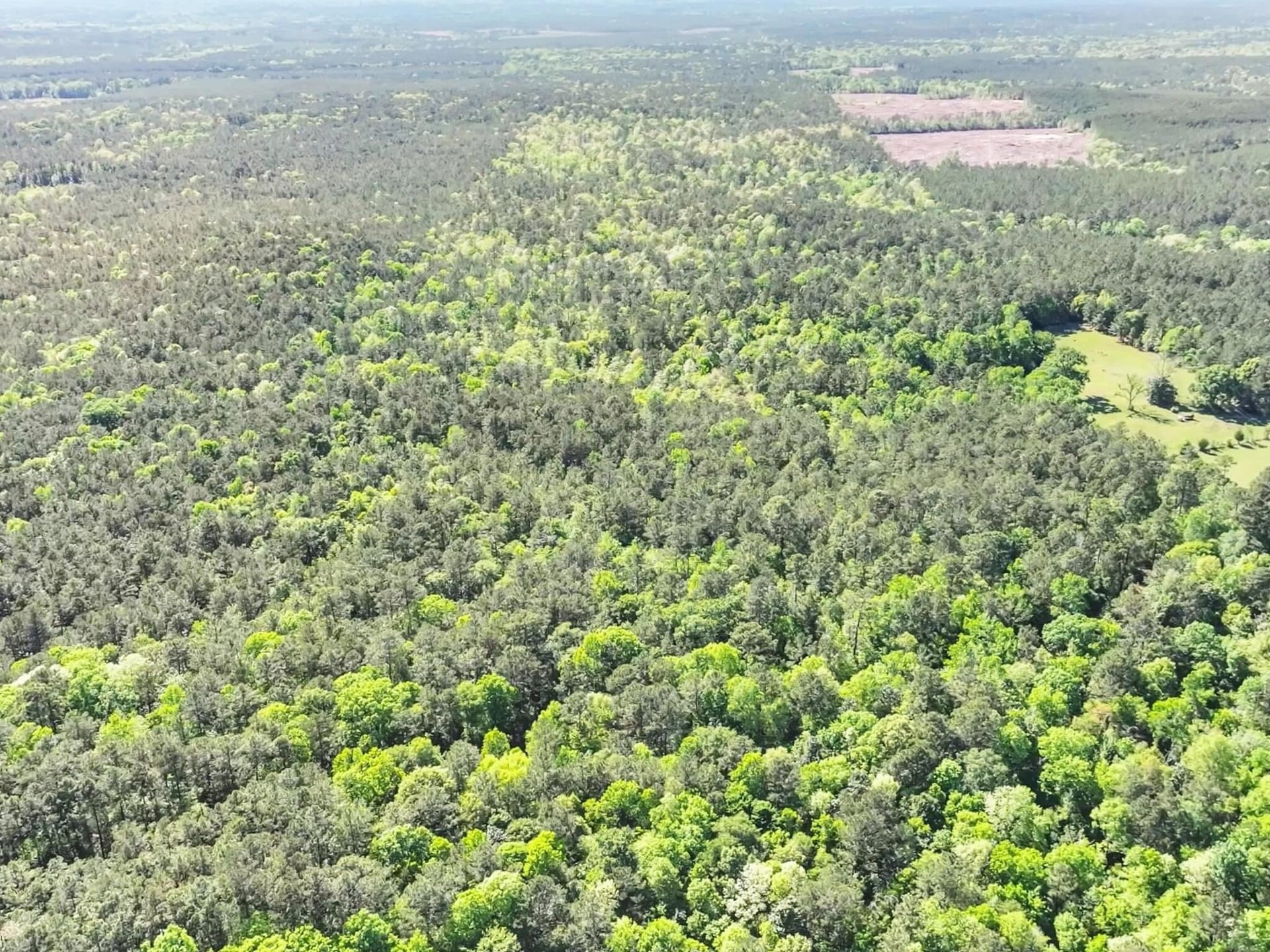 108.54 acres in Texas County - photo 13