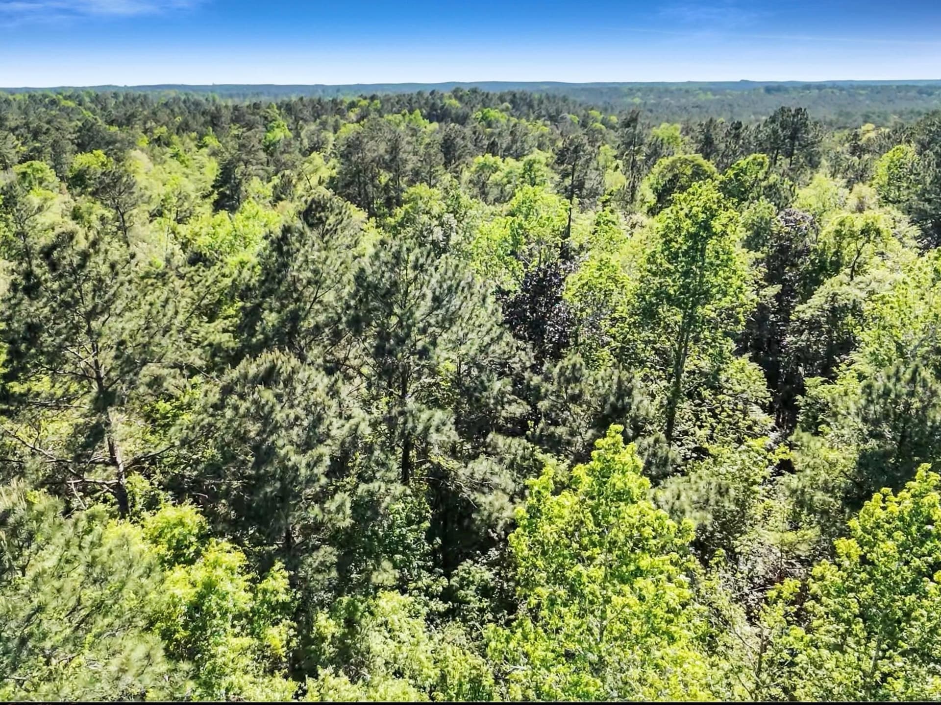108.54 acres in Texas County - photo 15