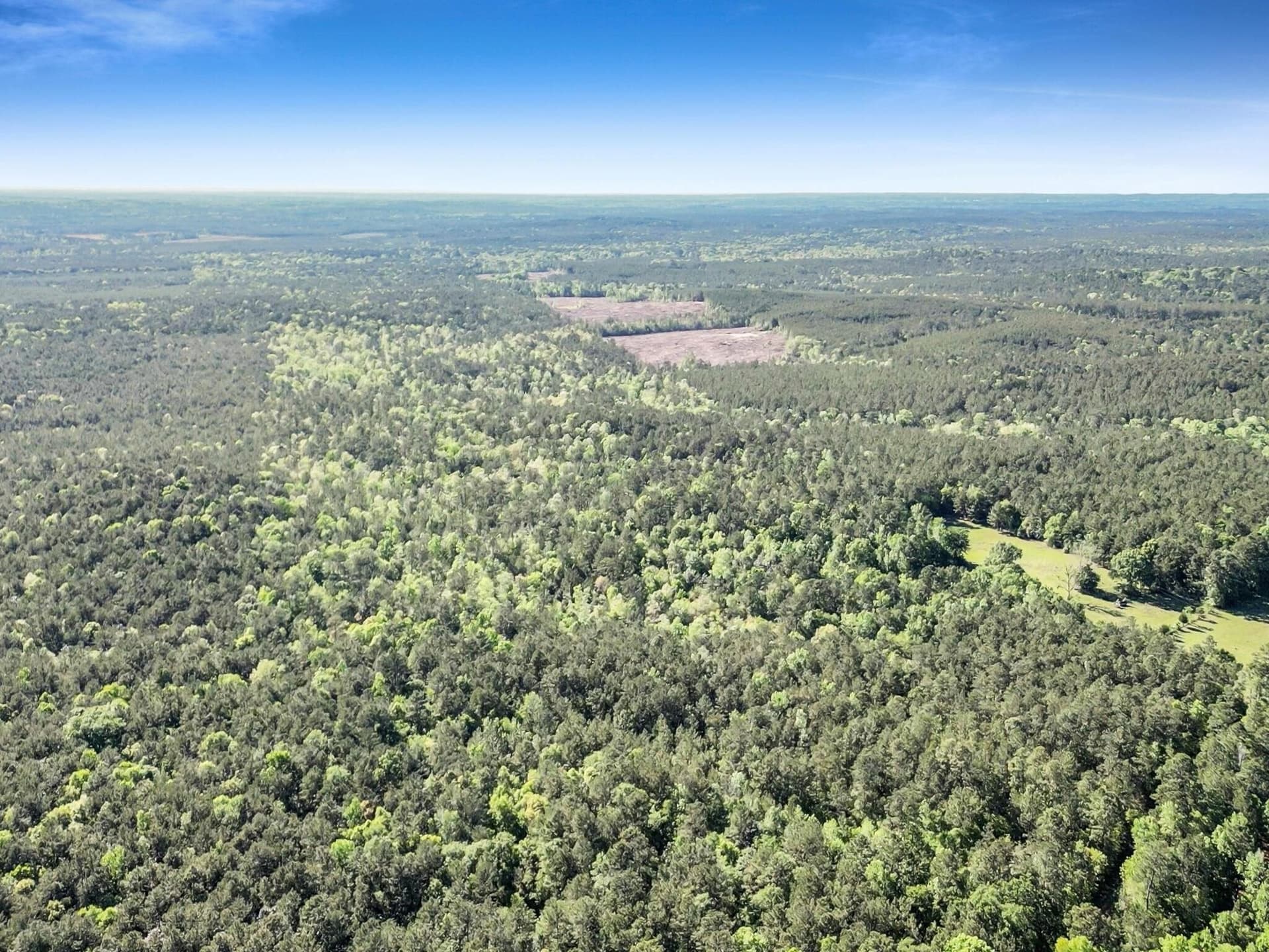 108.54 acres in Texas County - photo 11