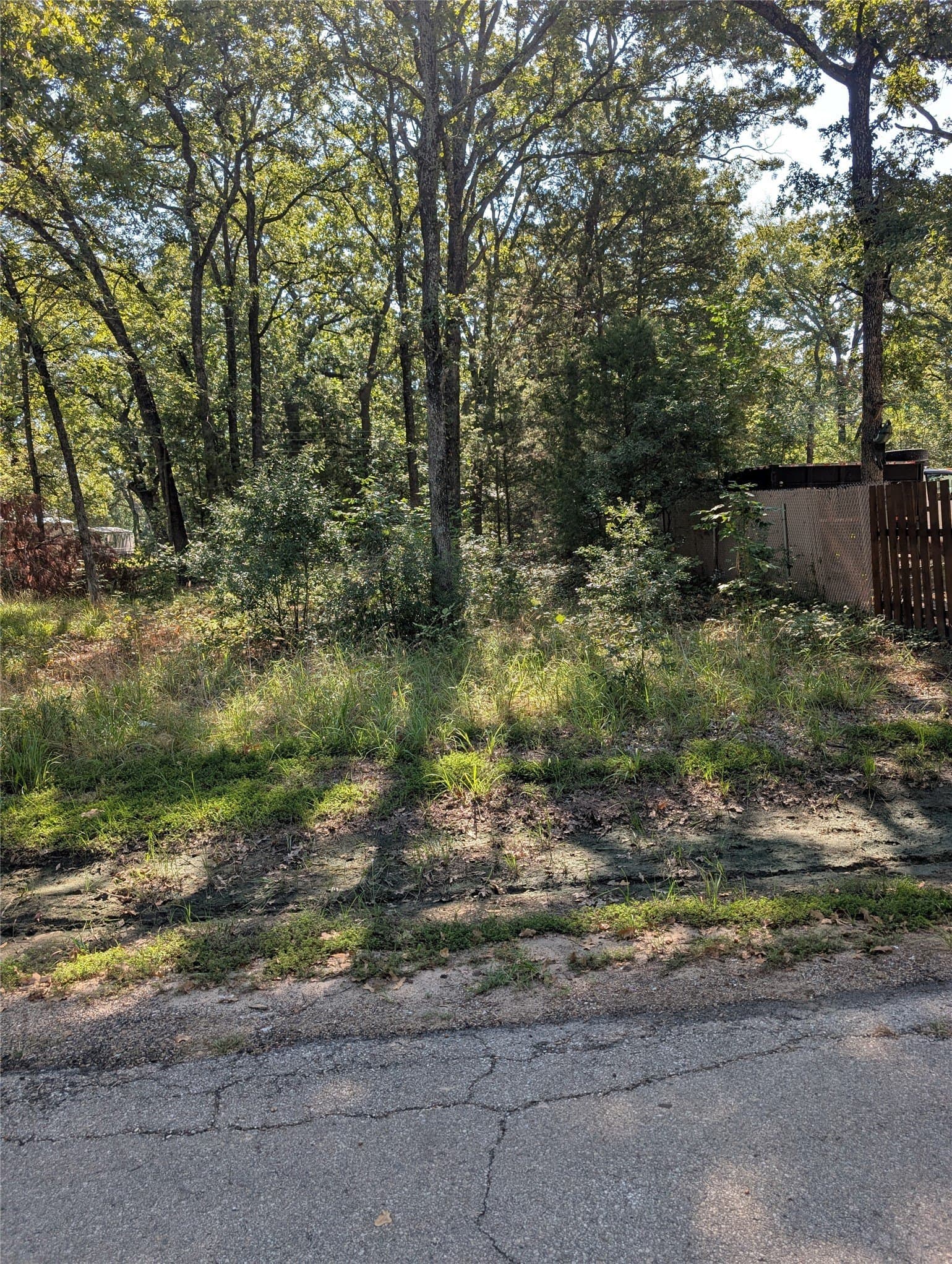 0.11 acres in Henderson County - photo 3