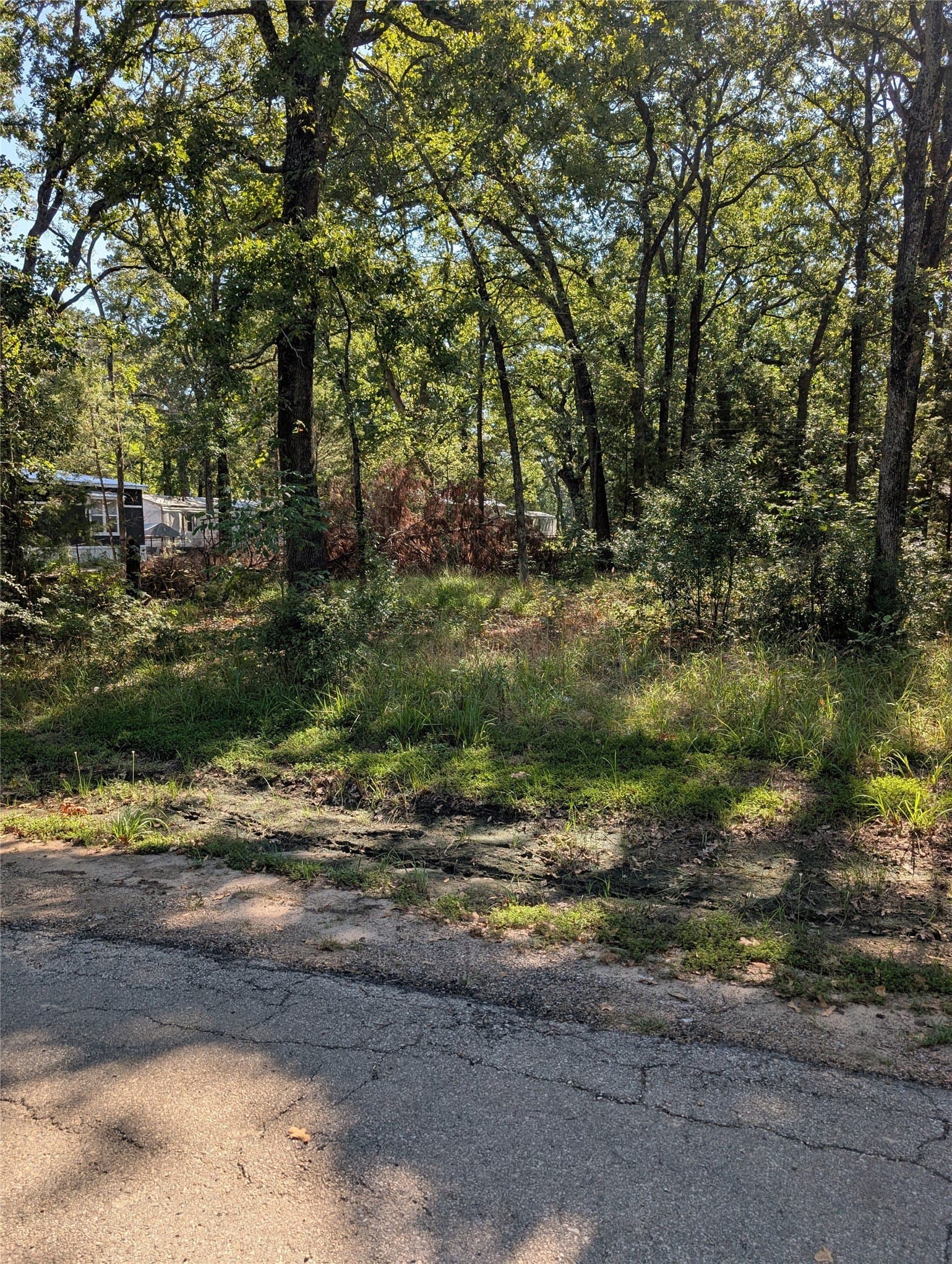 0.11 acres in Henderson County - photo 2