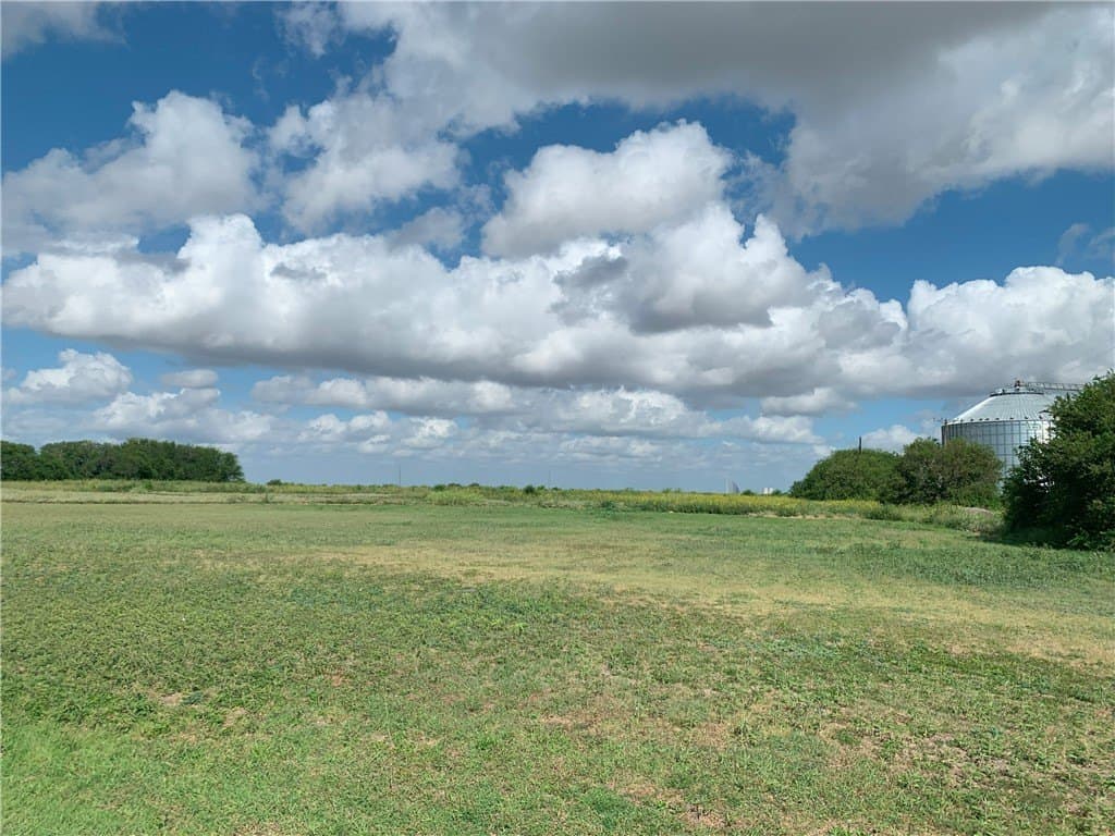 5.56 acres in San Patricio County gallery image 2