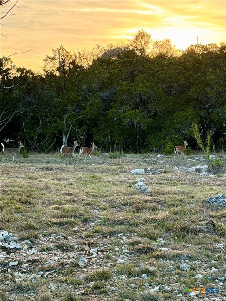 0.85 acres in Comal County featured view