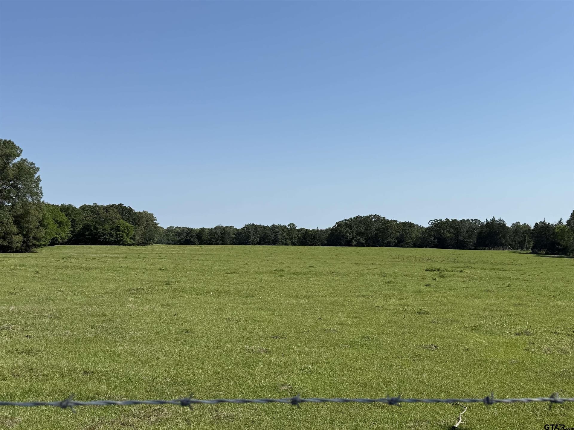 6.63 acres in Titus County gallery image 3