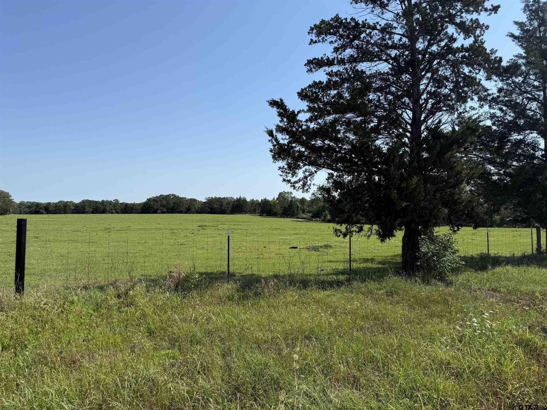 6.63 acres in Titus County