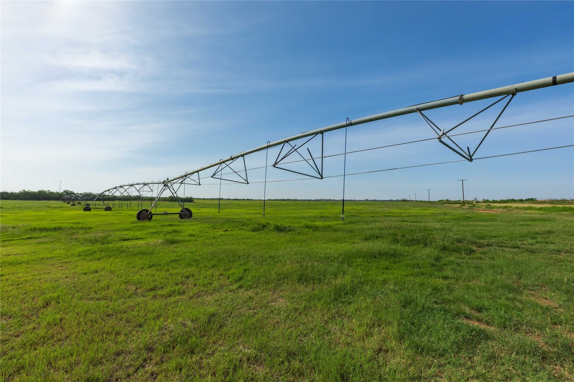 125.62 acres in Scurry County - photo 7