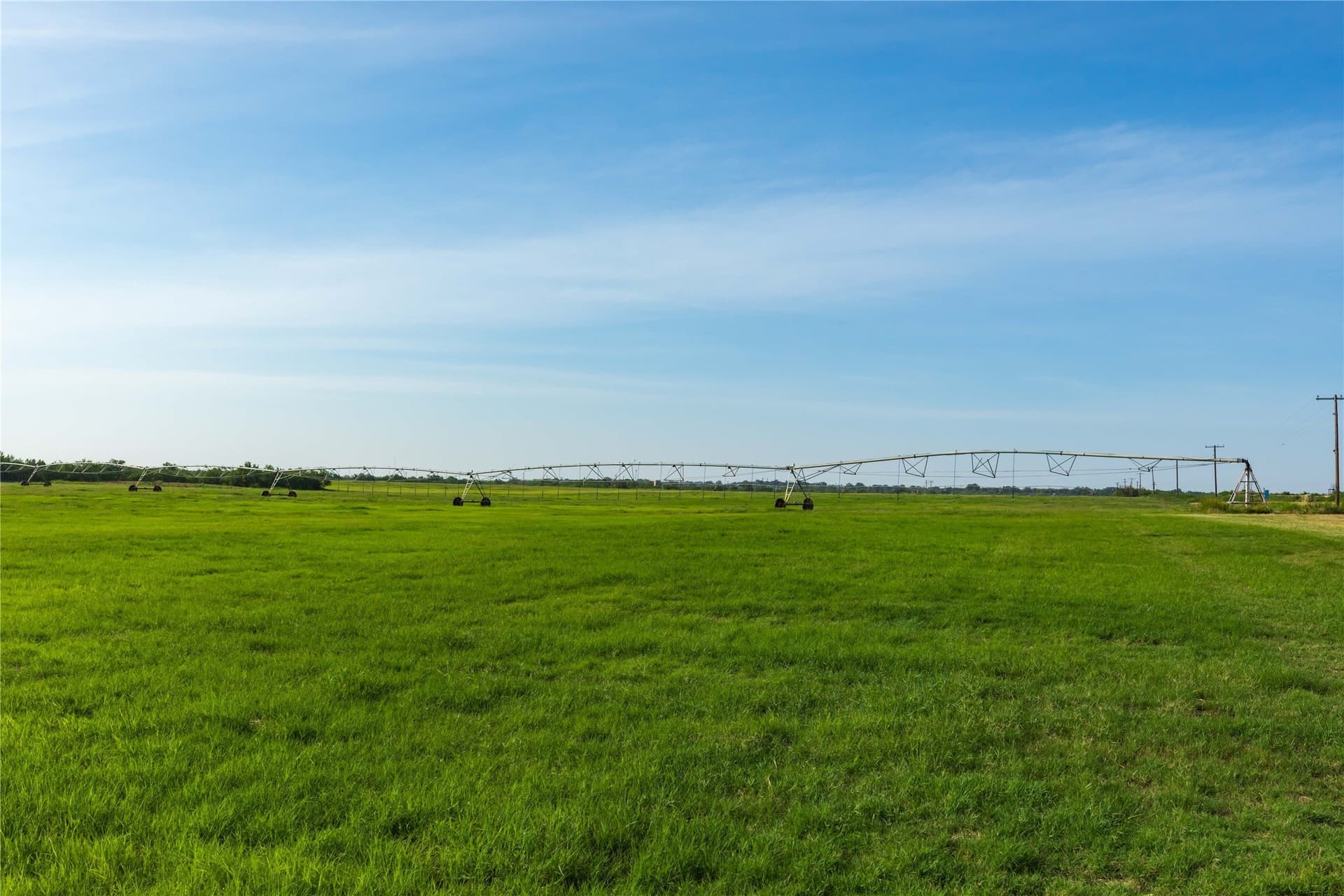 125.62 acres in Scurry County gallery image 3
