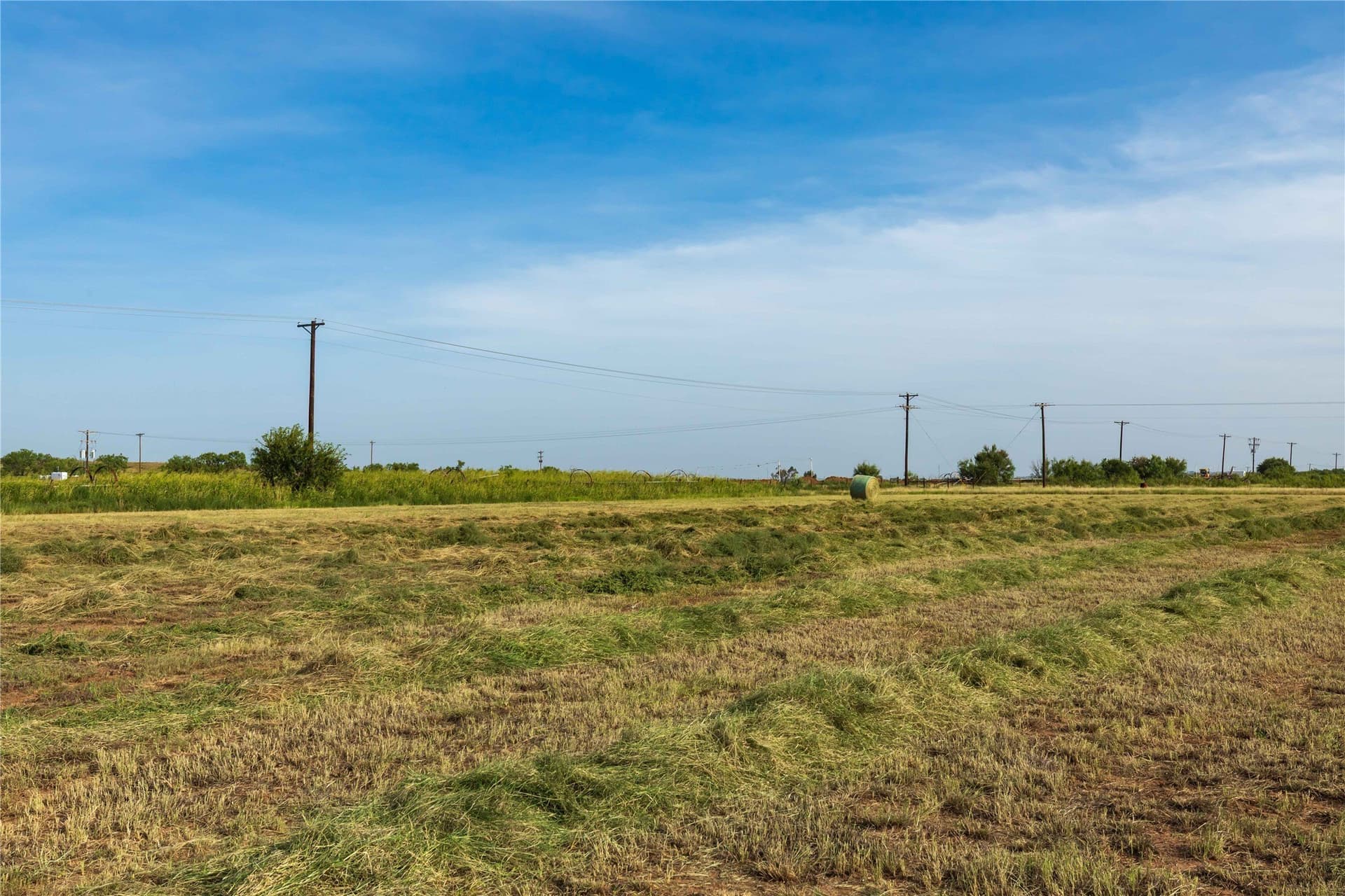 125.62 acres in Scurry County - photo 24