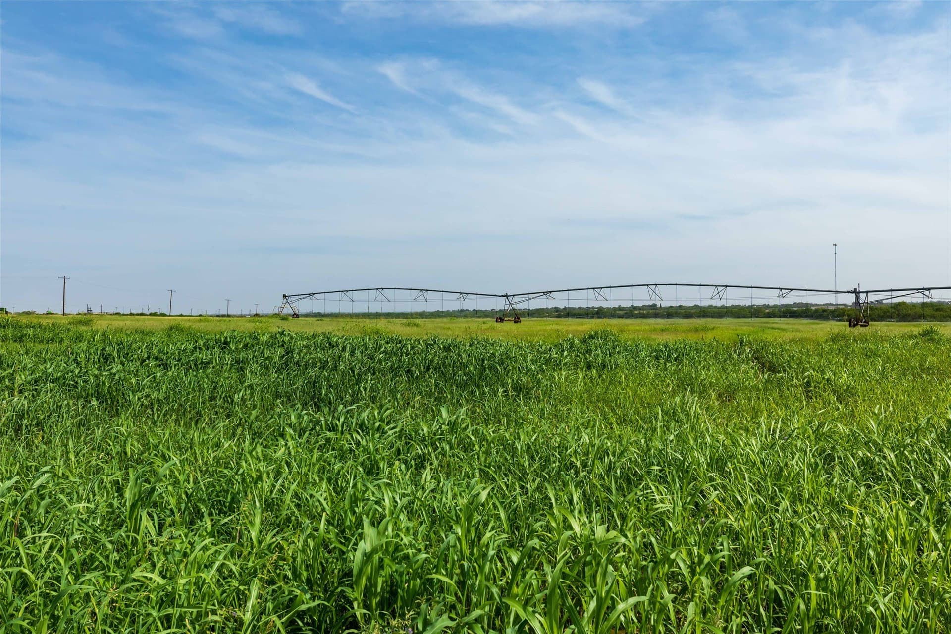 125.62 acres in Scurry County - photo 19