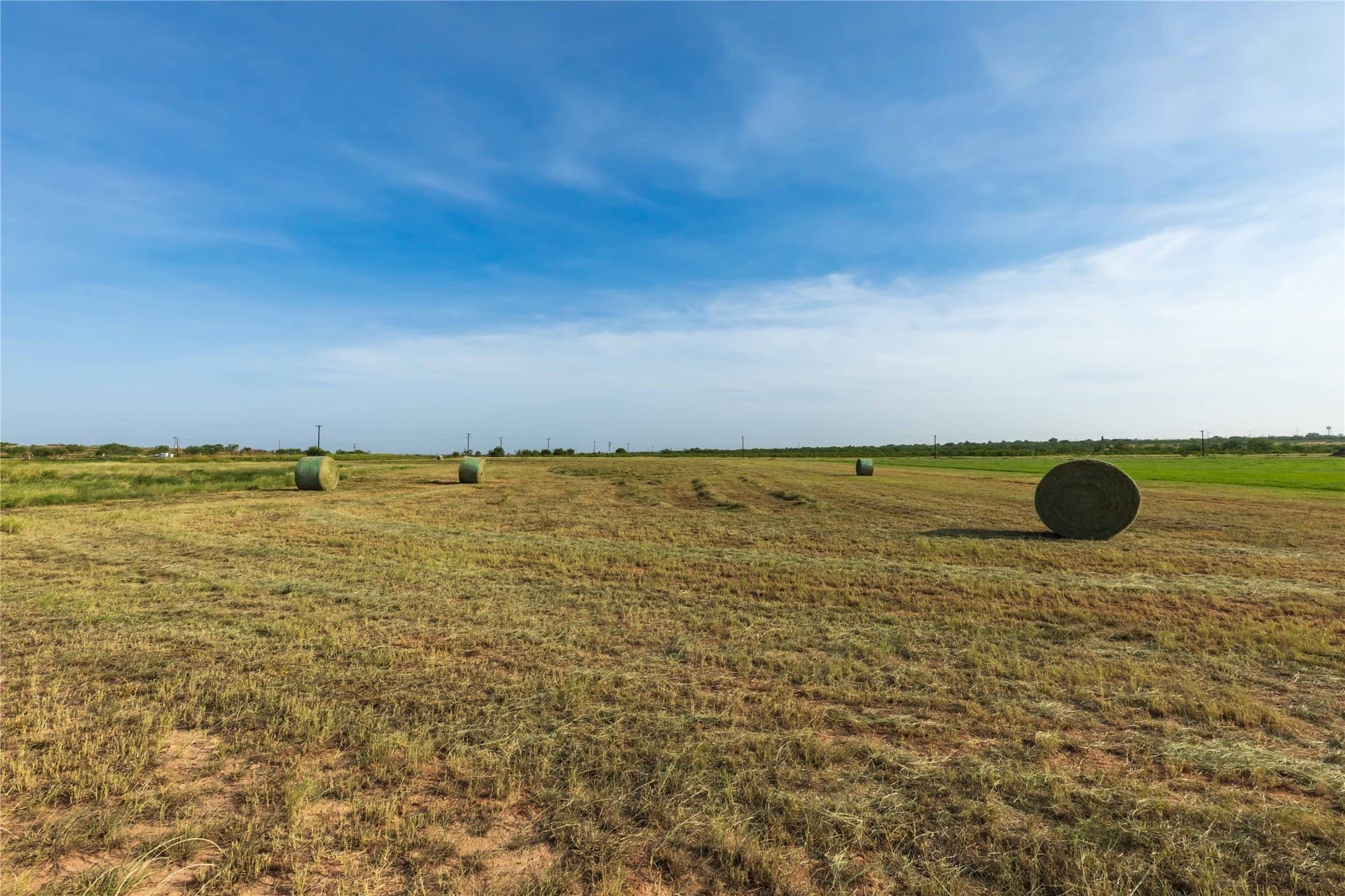 125.62 acres in Scurry County - photo 9
