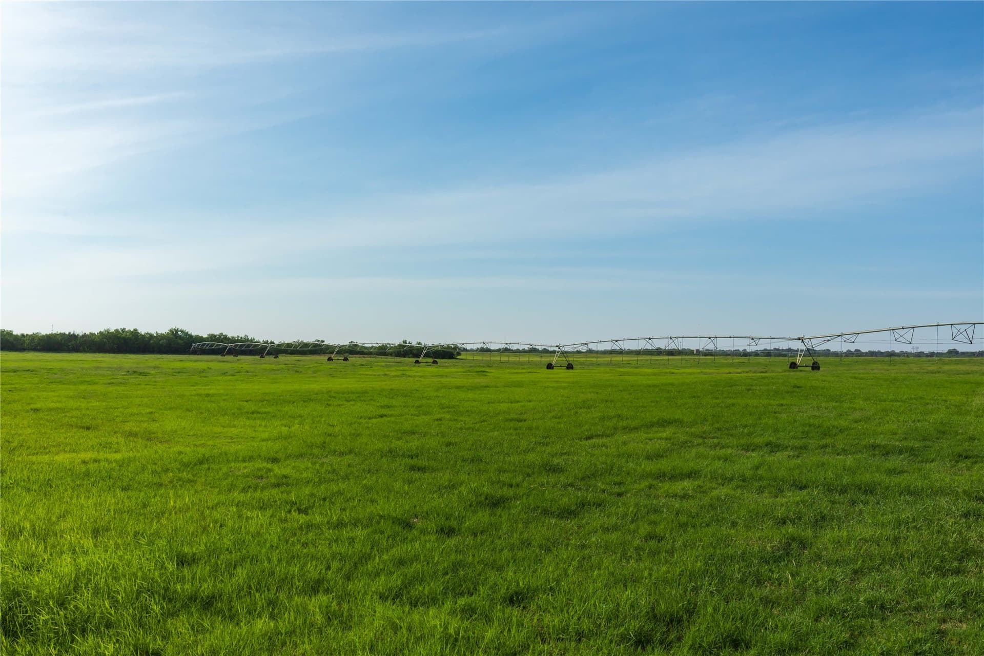 125.62 acres in Scurry County - photo 27