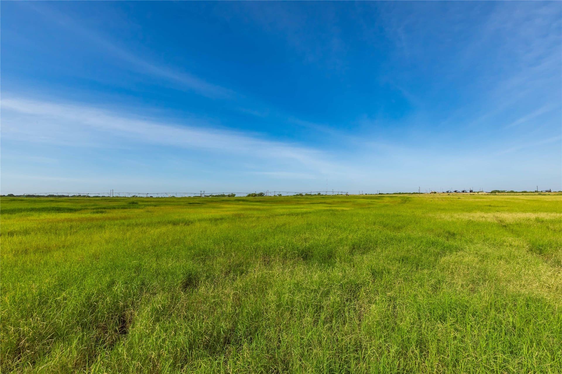 125.62 acres in Scurry County - photo 37
