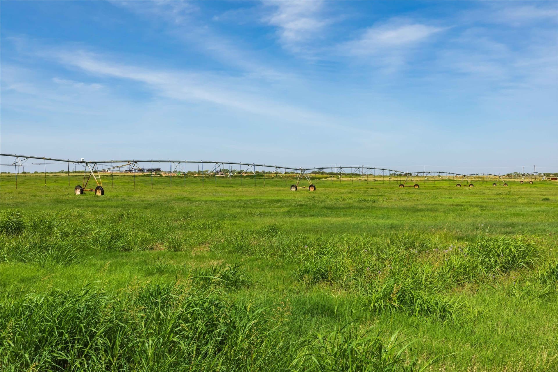 125.62 acres in Scurry County - photo 35