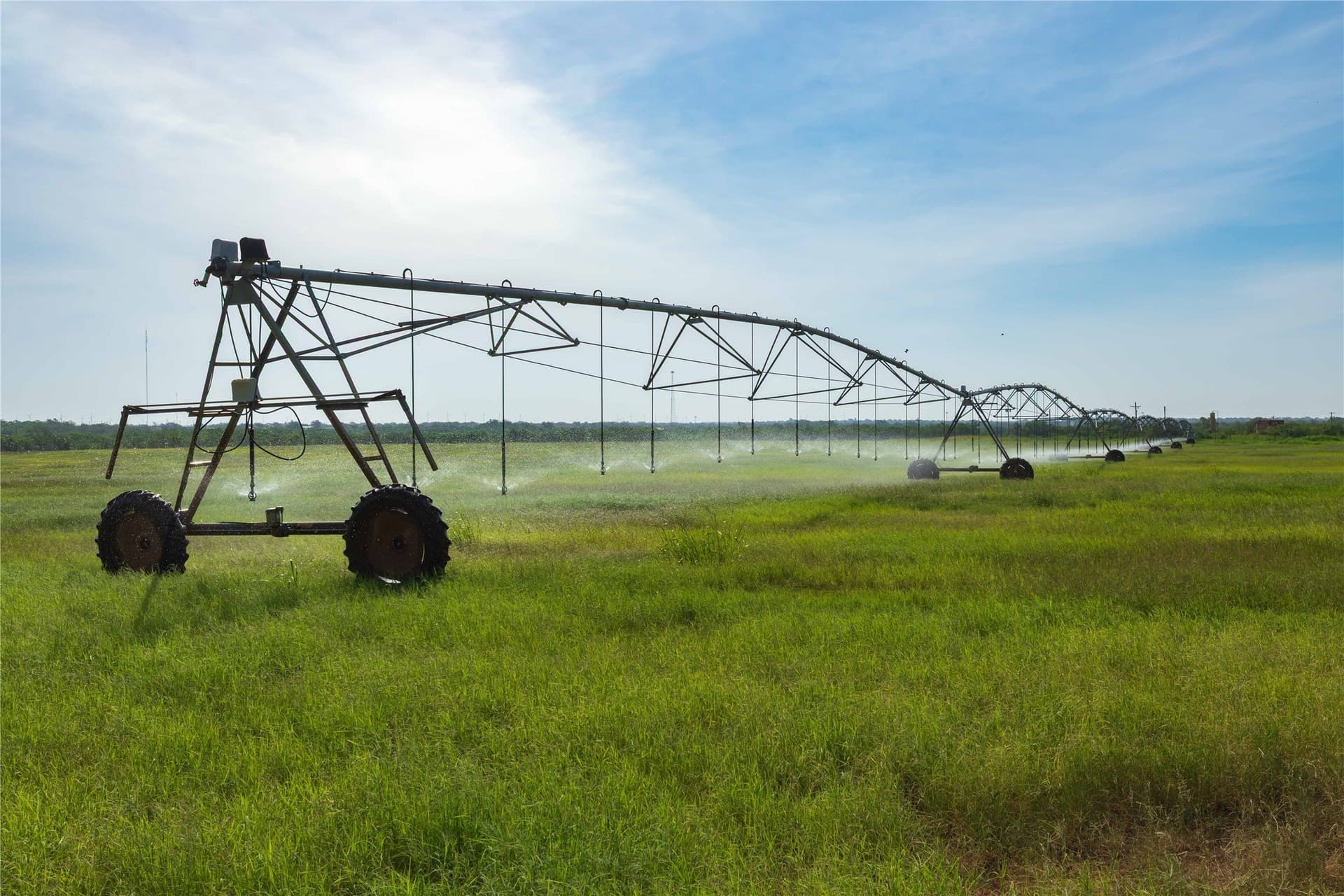 125.62 acres in Scurry County - photo 12