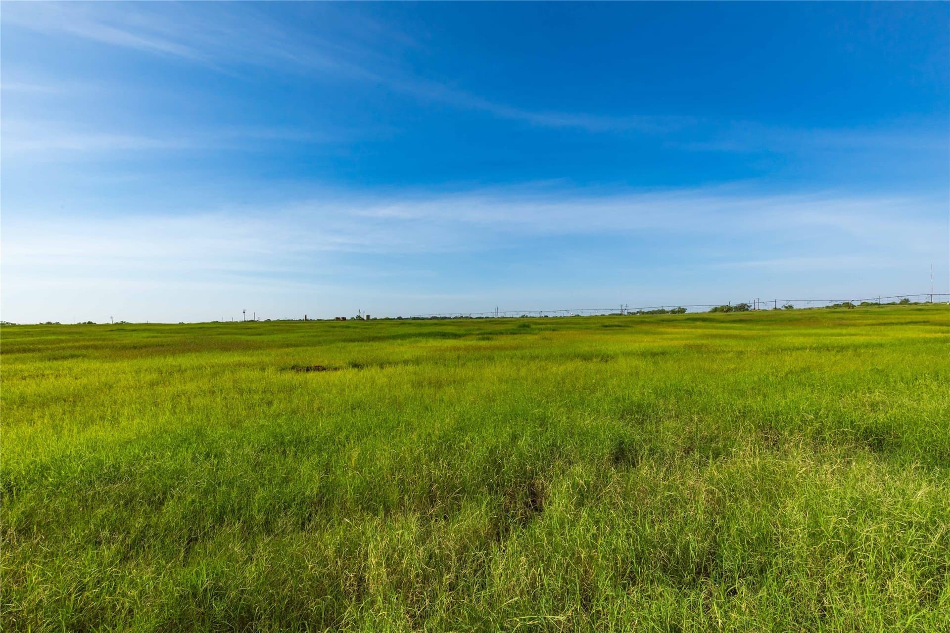 125.62 acres in Scurry County - photo 36