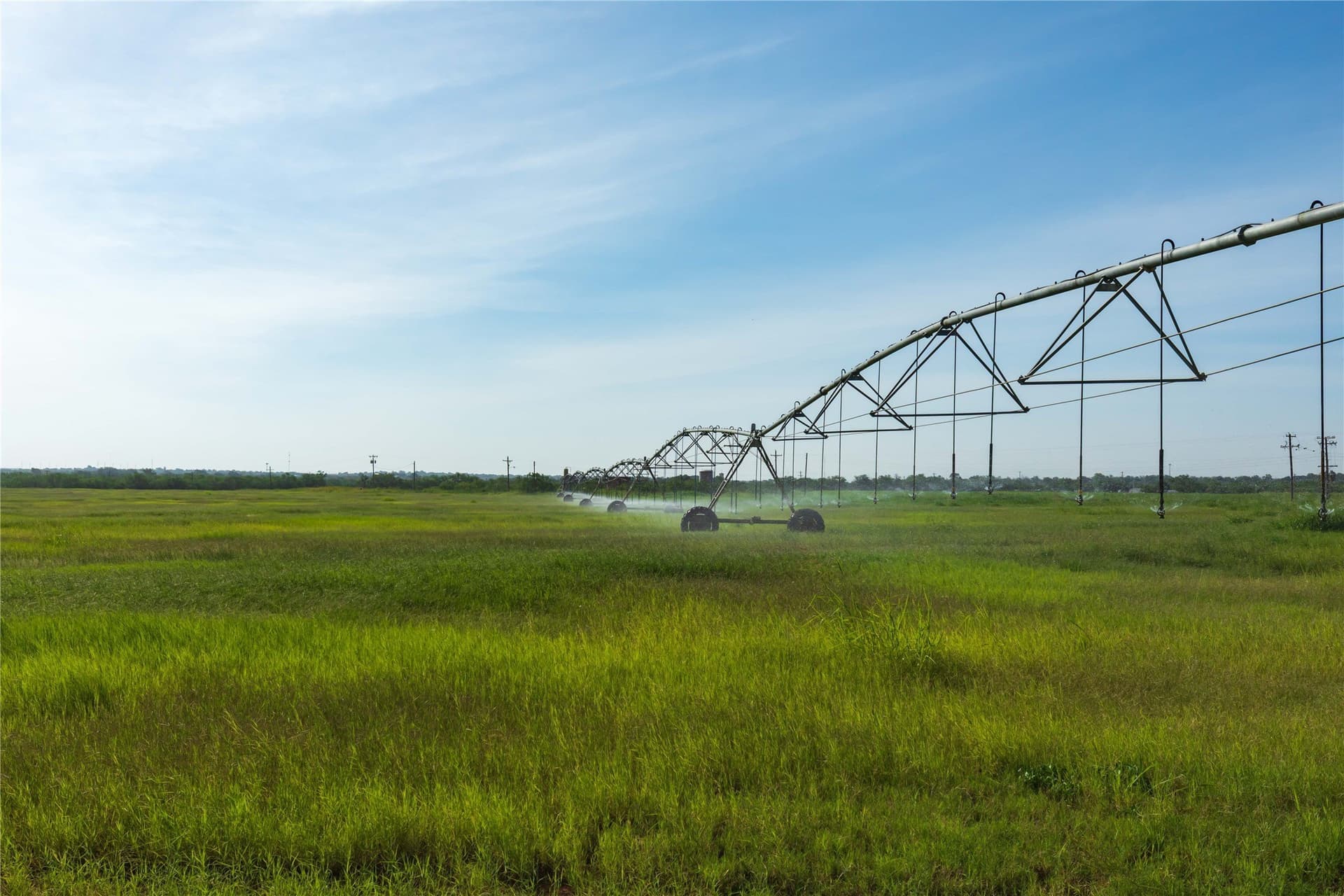 125.62 acres in Scurry County gallery image 2