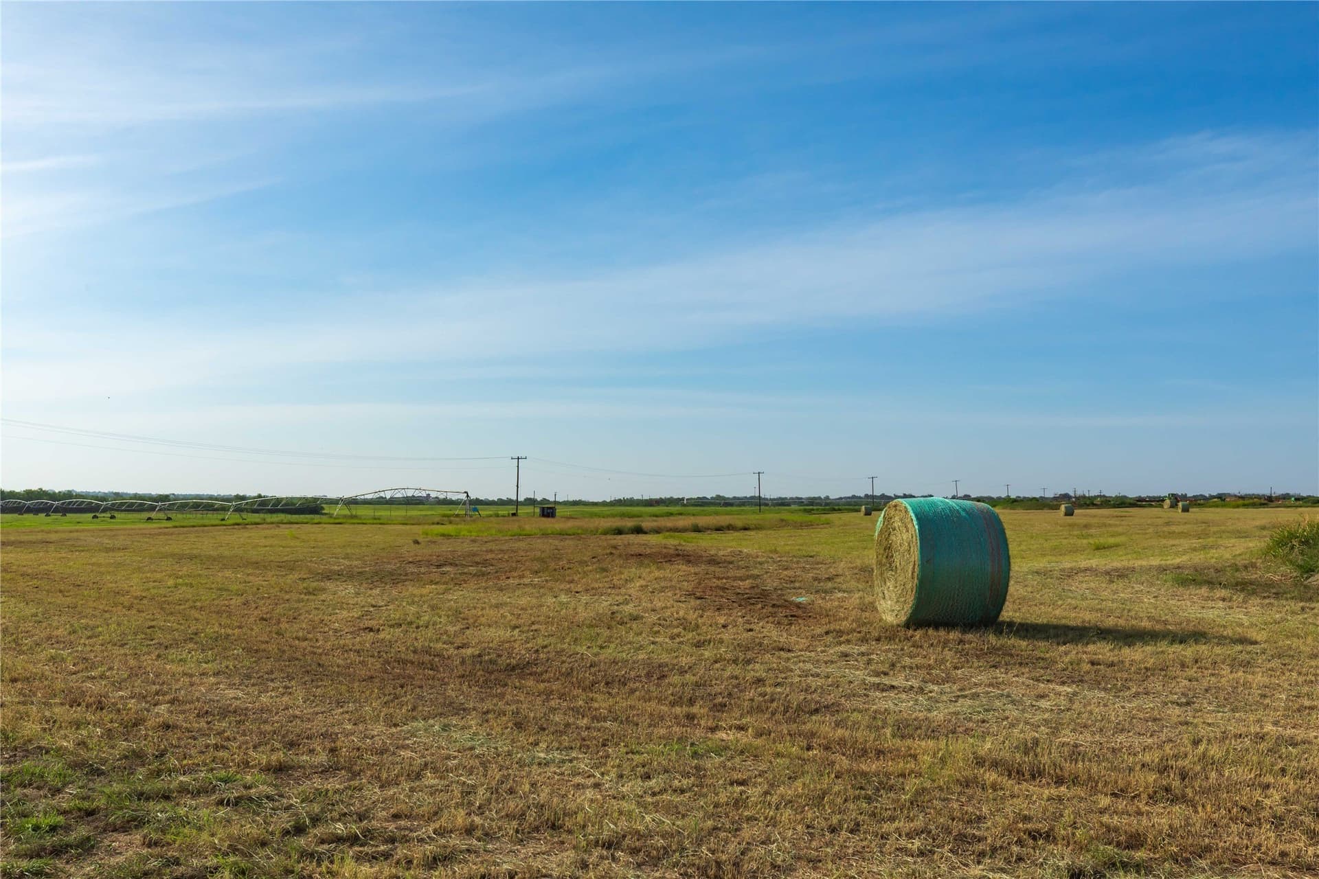 125.62 acres in Scurry County - photo 33