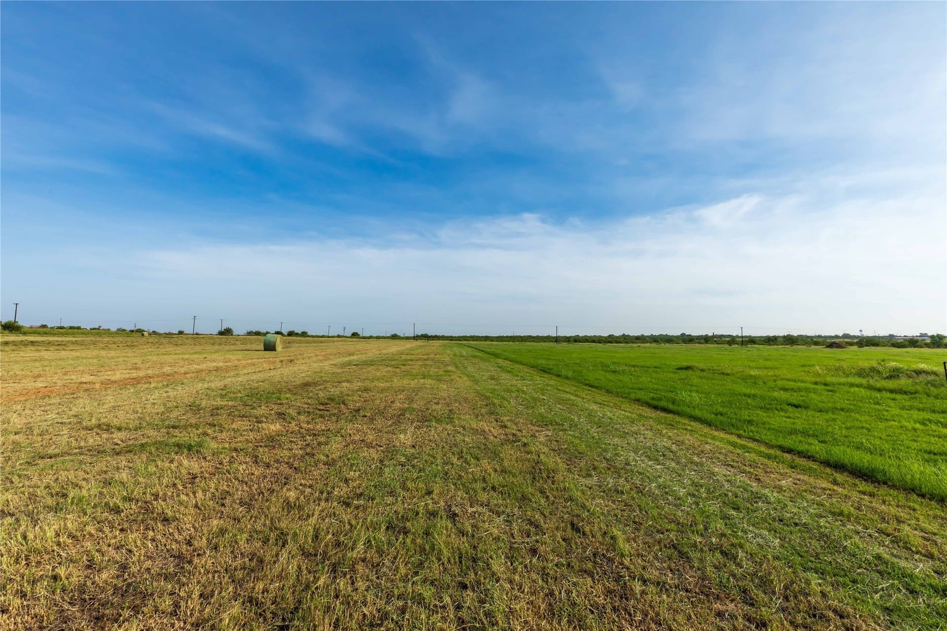 125.62 acres in Scurry County - photo 34