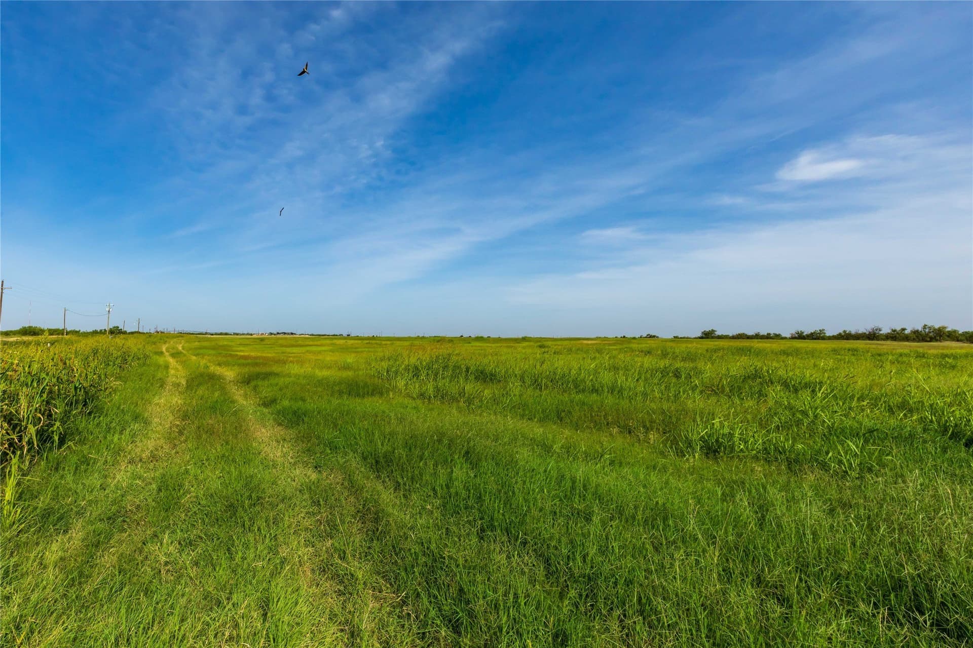 125.62 acres in Scurry County - photo 21
