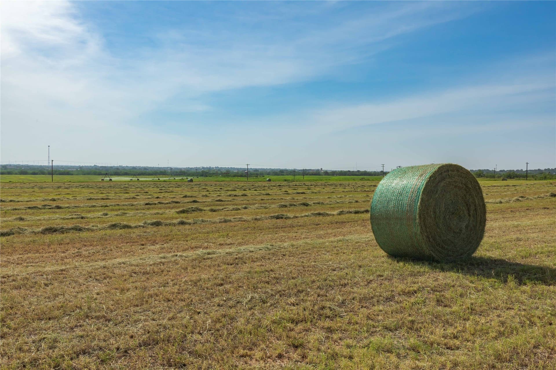 125.62 acres in Scurry County - photo 40