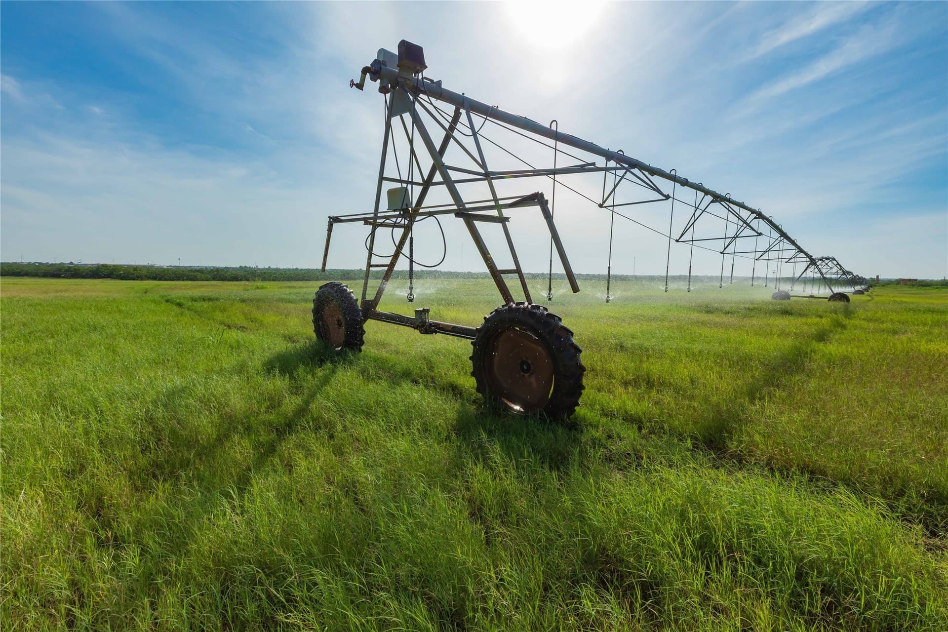 125.62 acres in Scurry County