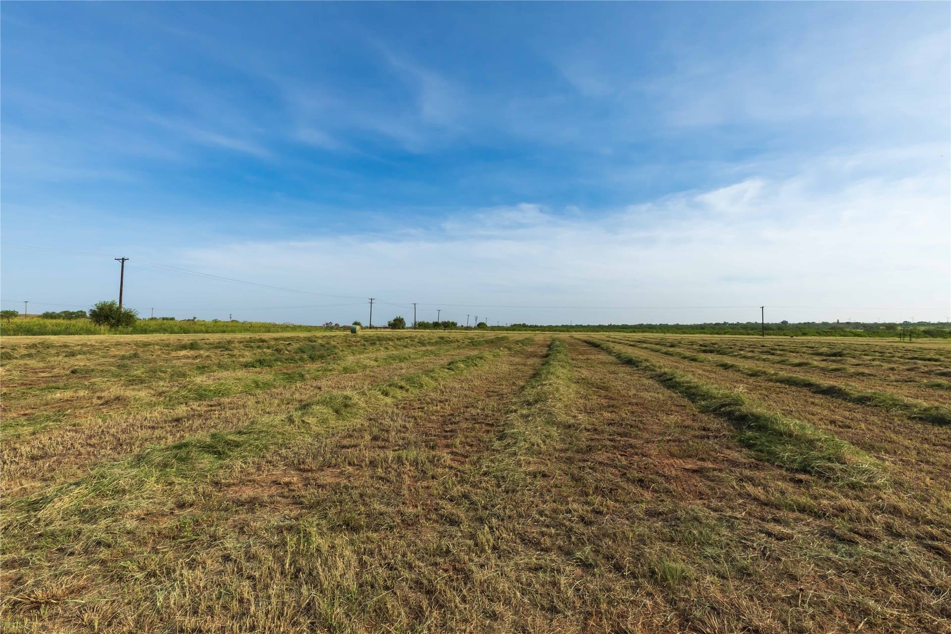 125.62 acres in Scurry County - photo 23