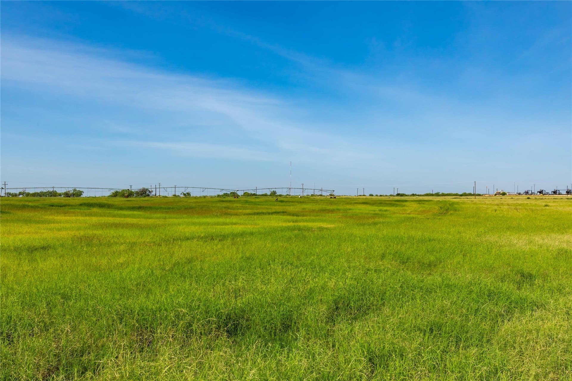 125.62 acres in Scurry County - photo 22