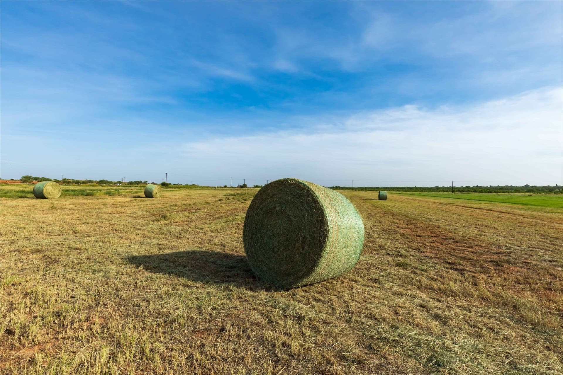 125.62 acres in Scurry County - photo 10