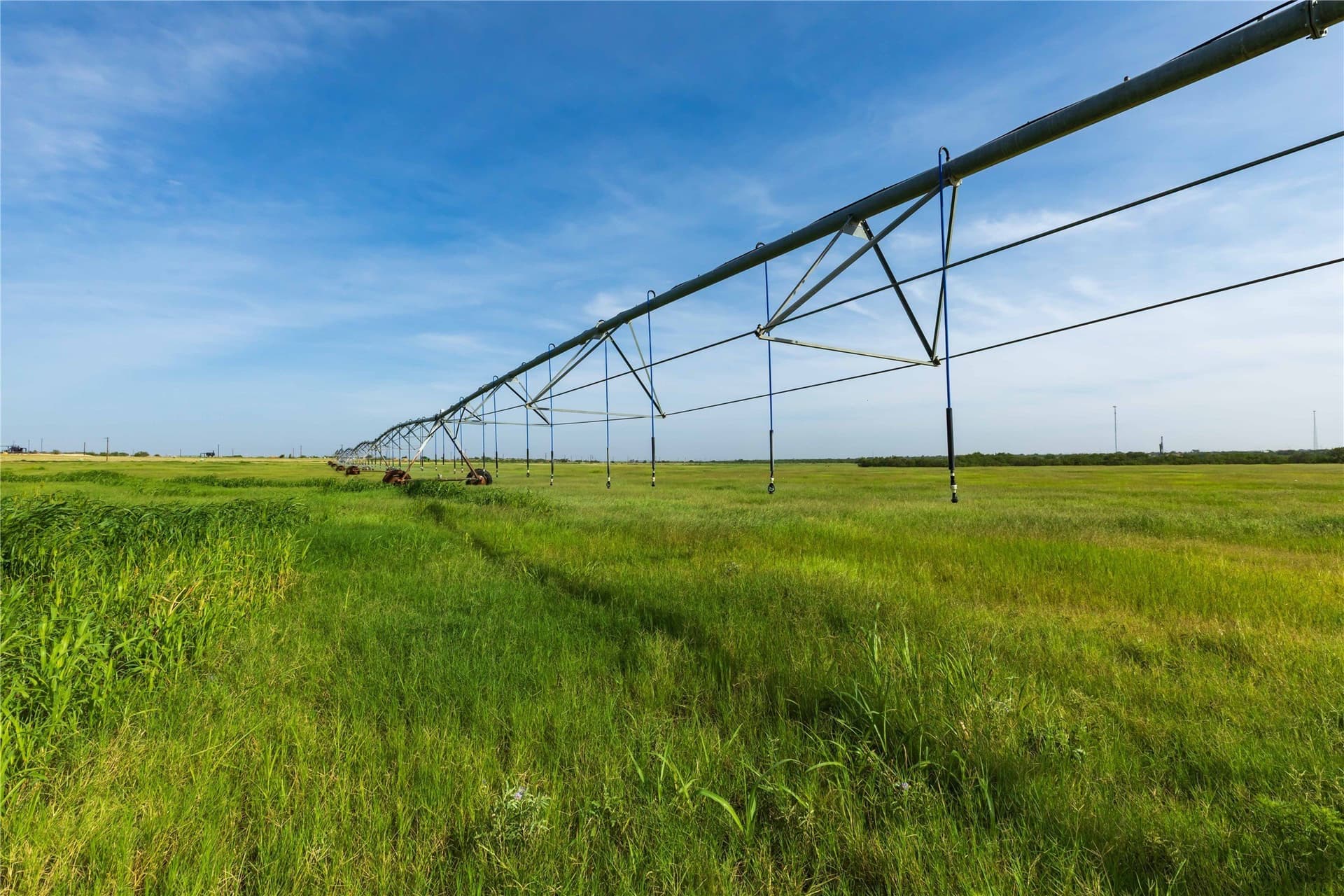 125.62 acres in Scurry County - photo 17