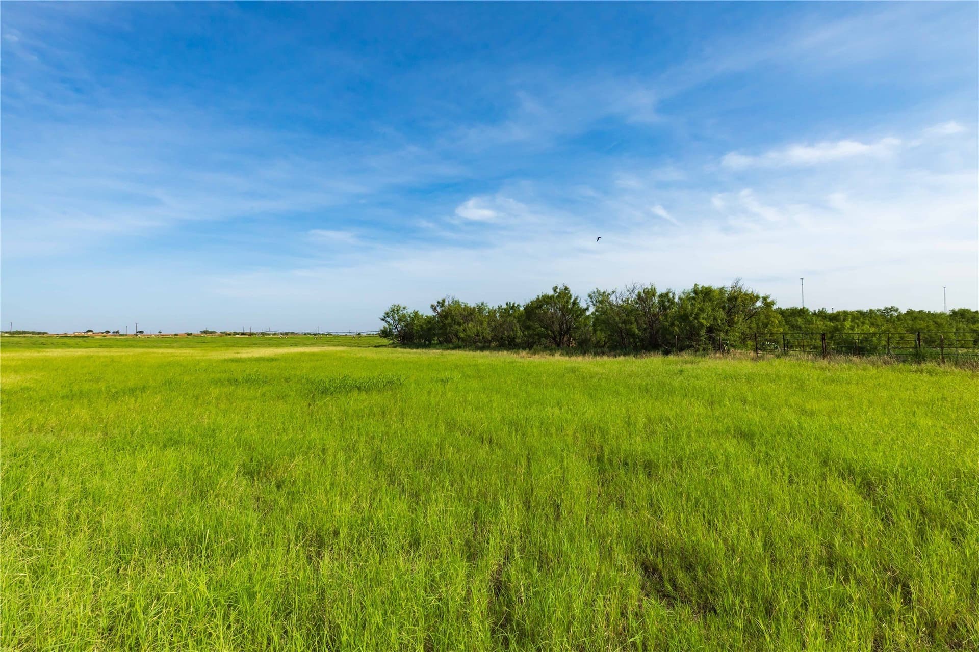 125.62 acres in Scurry County - photo 18