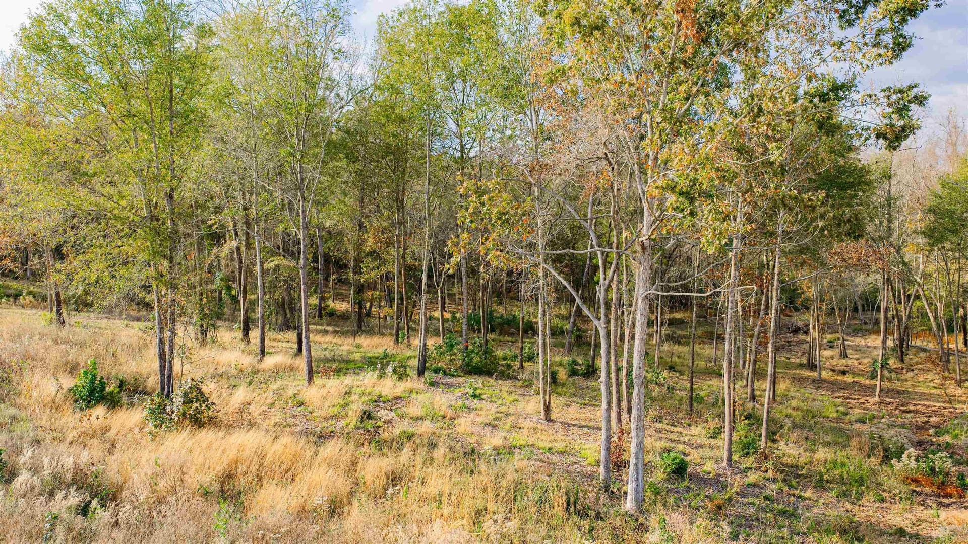 6.09 acres in Gregg County - photo 12