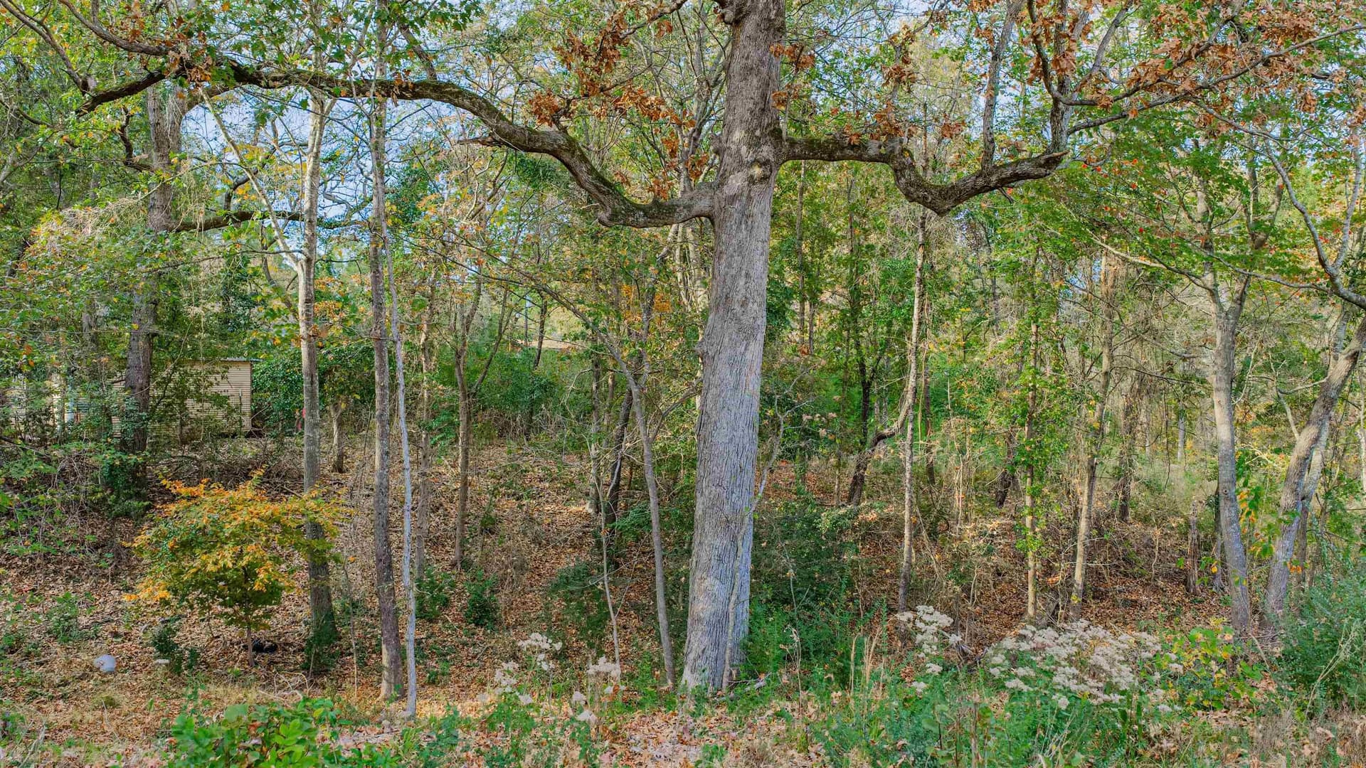 6.09 acres in Gregg County - photo 7