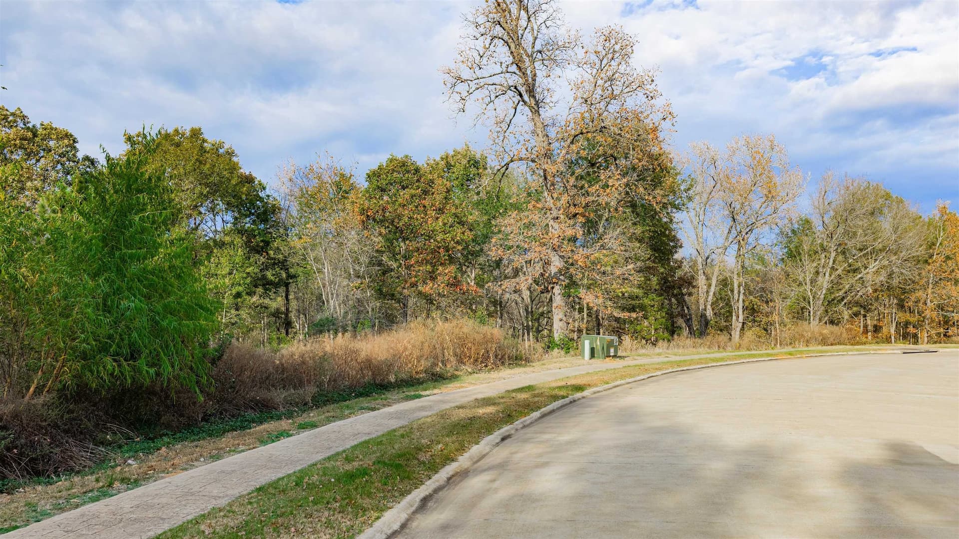 6.09 acres in Gregg County - photo 8