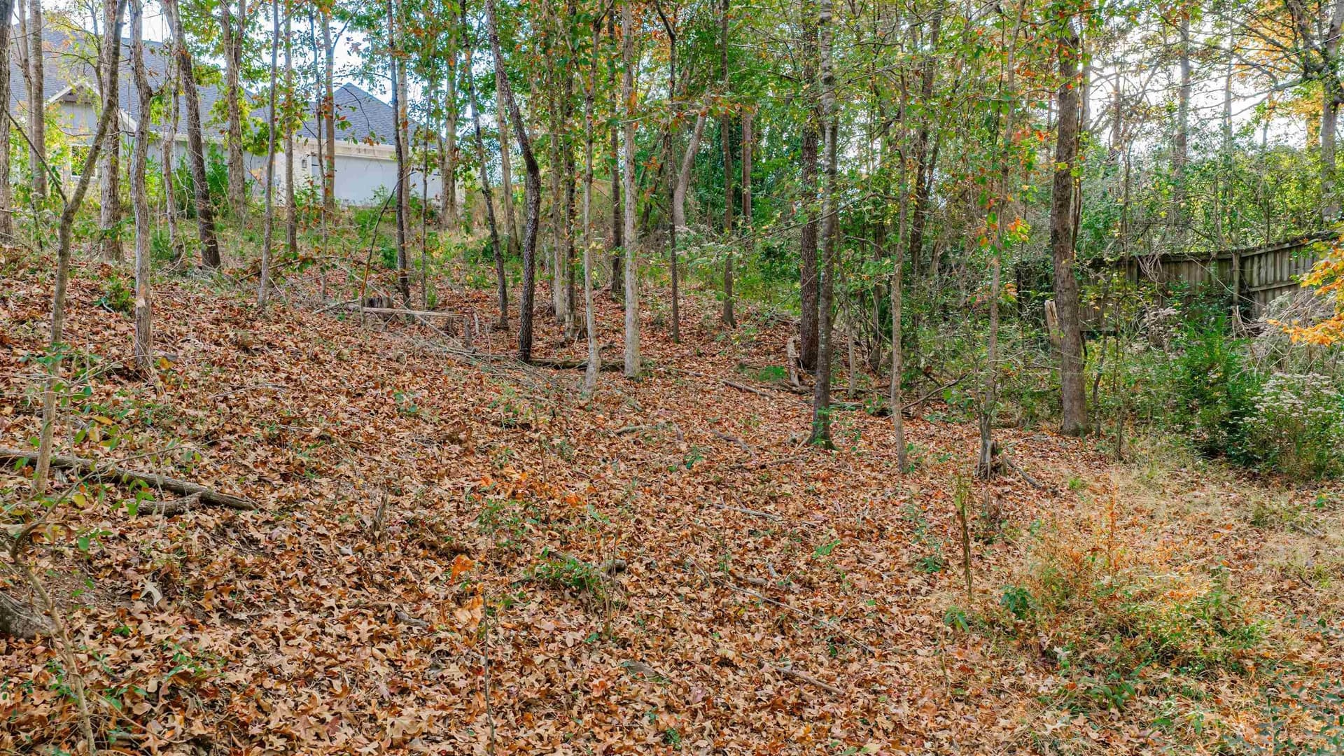 6.09 acres in Gregg County gallery image 4